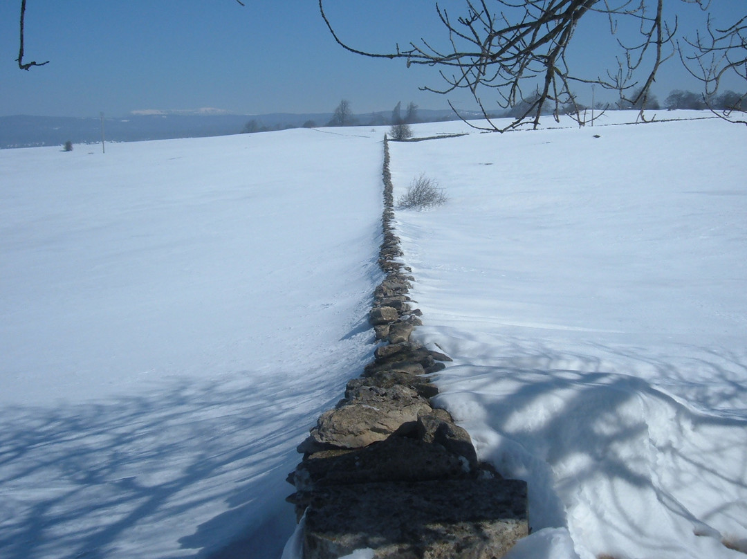 Arbizu酒店住宿-拉特萨尼亚乡村酒店