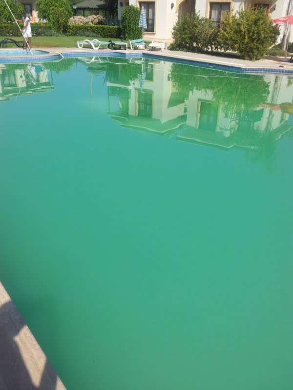 Green Holiday Village主图