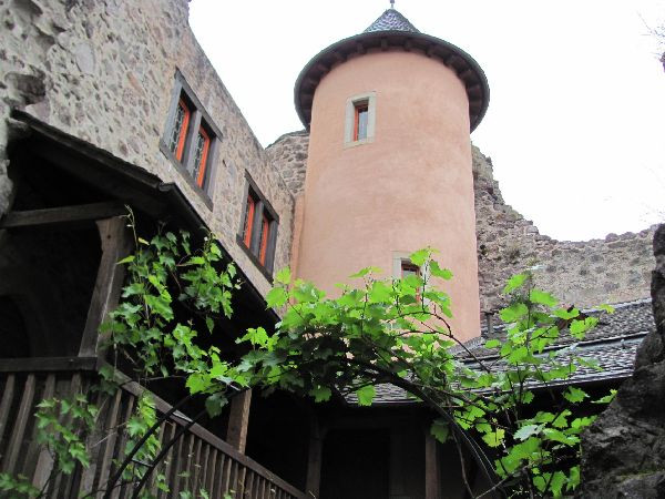 Schloss Oberstein景点图片