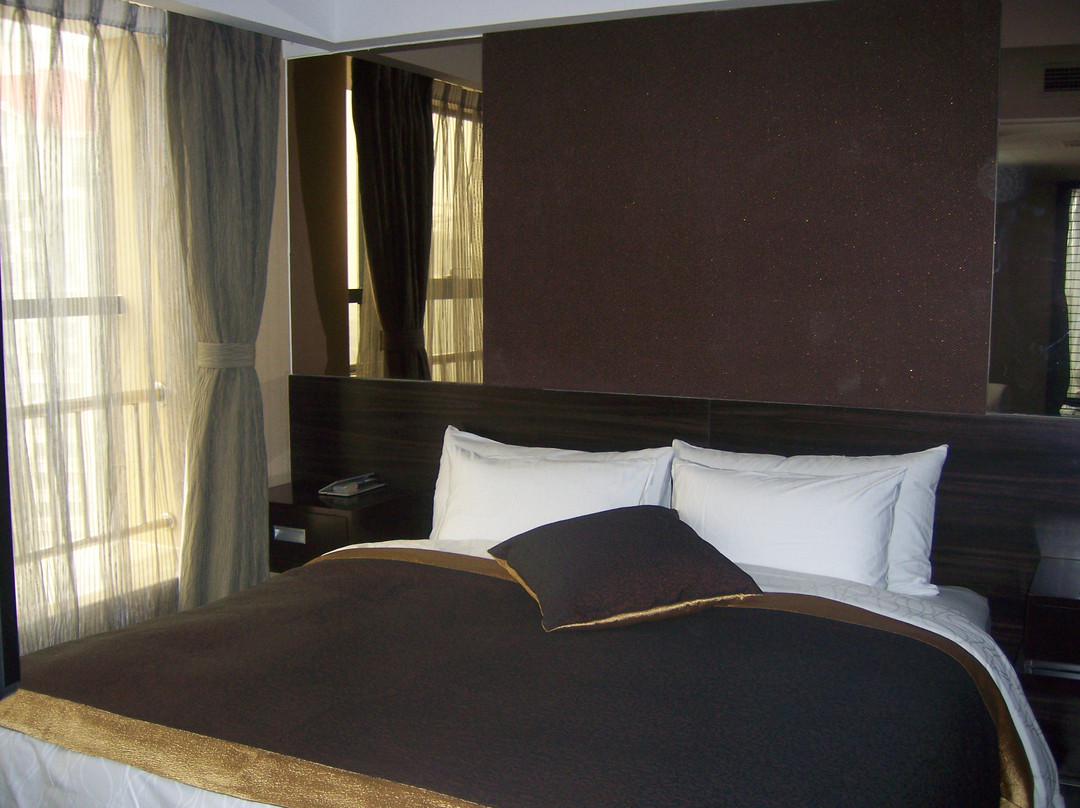 达宾汉白金酒店主图