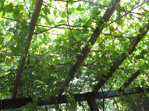 浮生四季青年旅舍主图