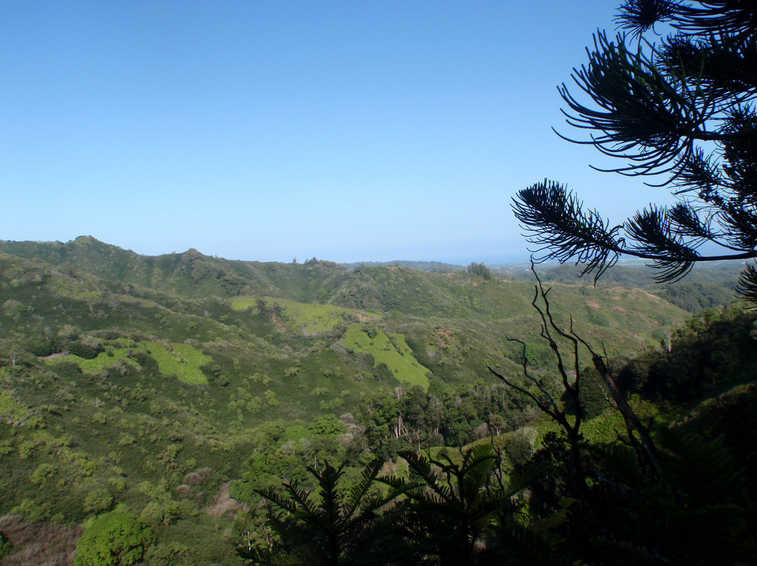 Laie Falls Trail-拉叶必去景点