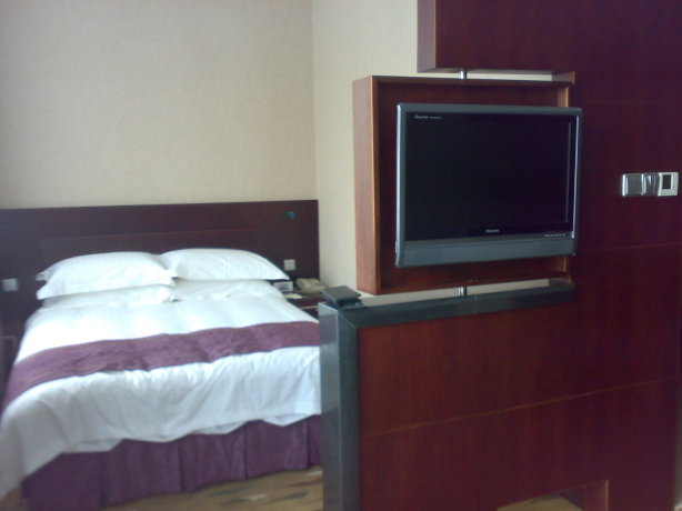 奥林匹克假日大酒店-客卧