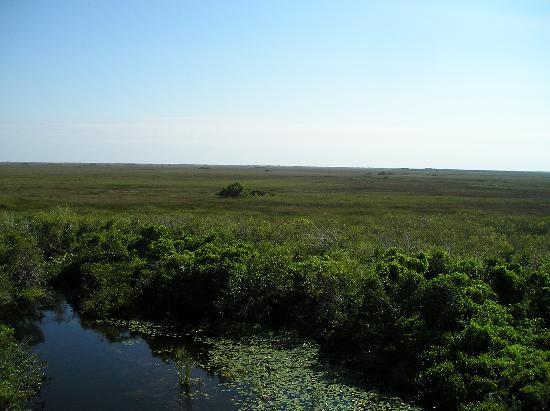 鲨鱼谷-大沼泽国家公园必去景点