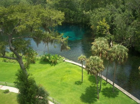 Silver Springs State Park-Silver Springs必去景点