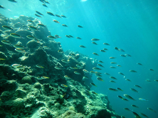 Haisai Yanbaru Tour-名护市必去景点