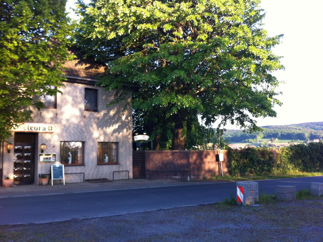 Lubbecke餐馆和美食-Meteora