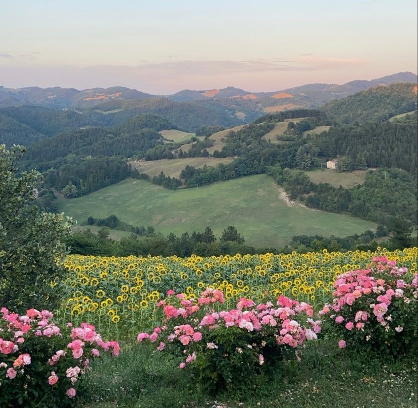 Azienda Agricola La Collina