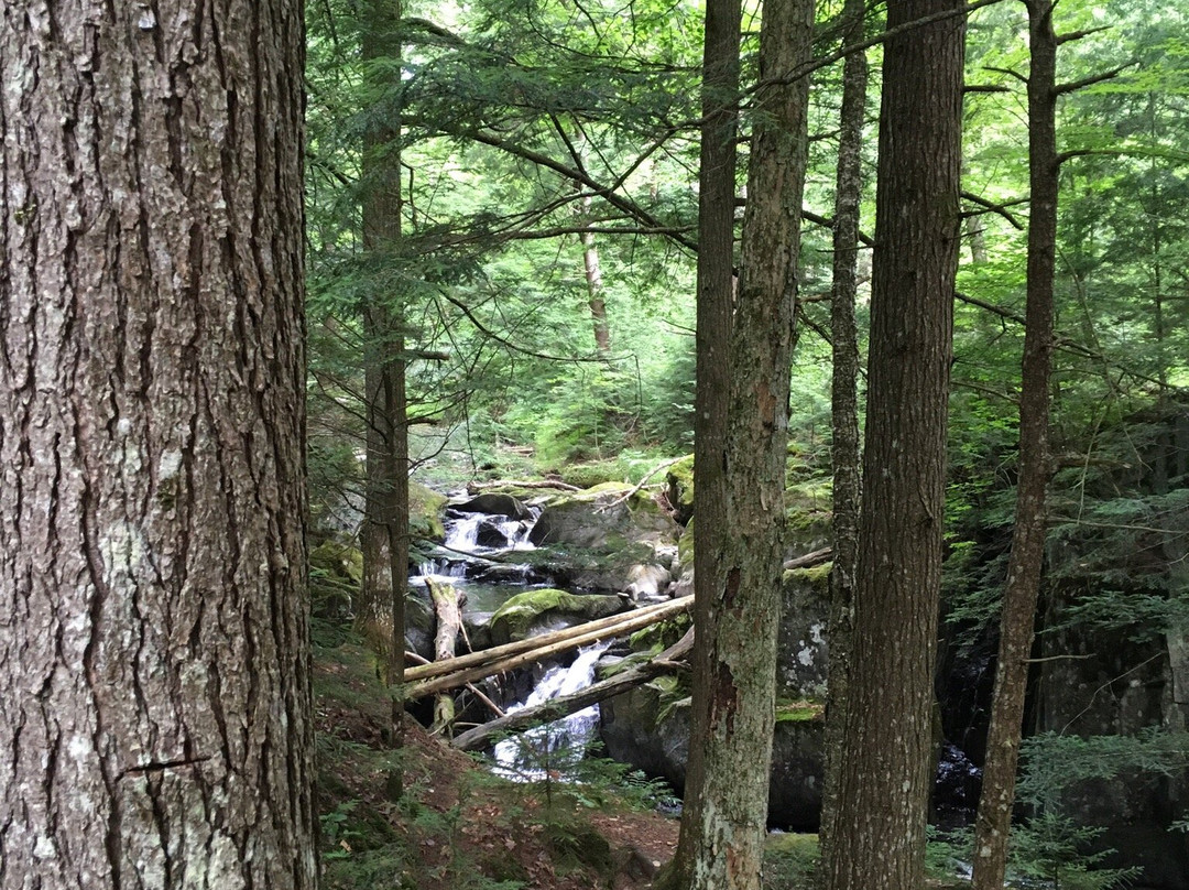 Barrewood Campground