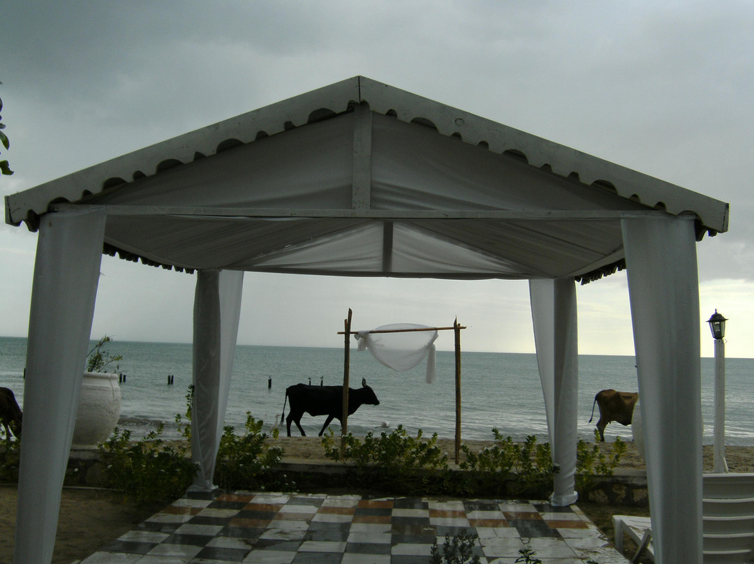 Black River酒店住宿-South Shore Guesthouse