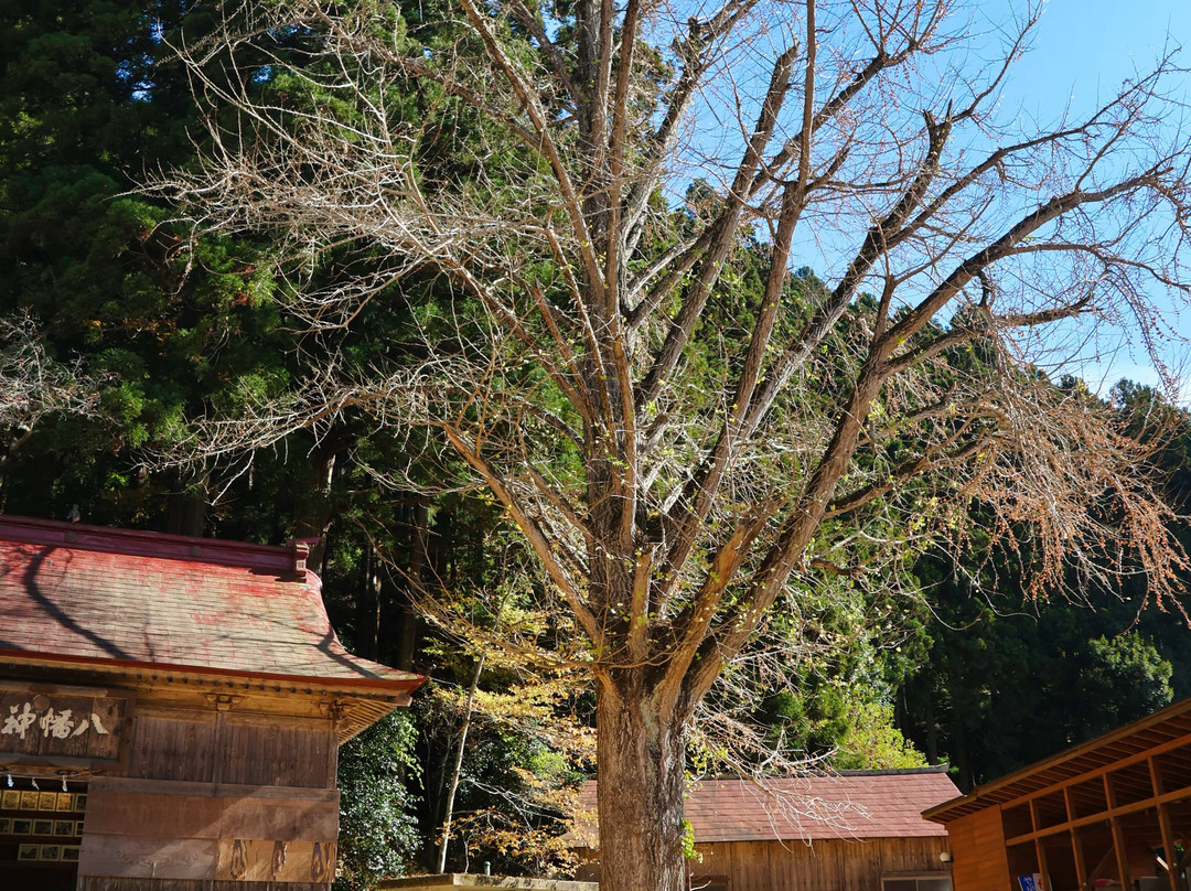 Furudono Hachiman Shrine-古殿町必去景点