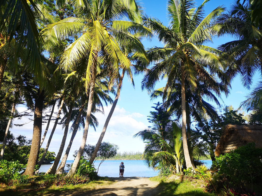 Gite NATAIWATCH主图