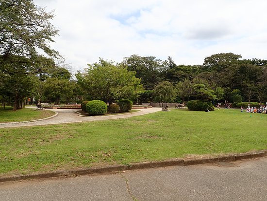 Satomi Park-市川市必去景点
