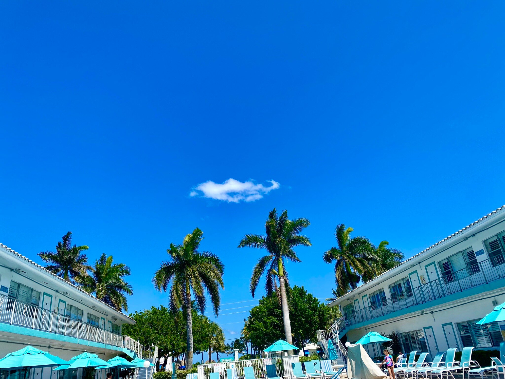 Driftwood Beach Club-官方