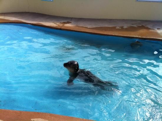 Natureland Seal Sanctuary景点图片
