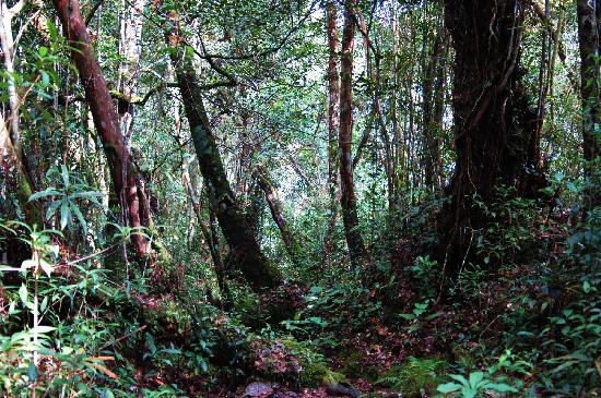 邓普勒公园-万挠必去景点
