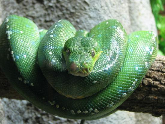 Milwaukee County Zoo-密尔沃基必去景点