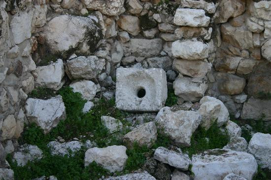 City Of David National Park-耶路撒冷必去景点