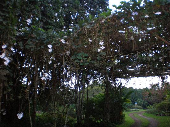 Eden Nature Park-达沃必去景点