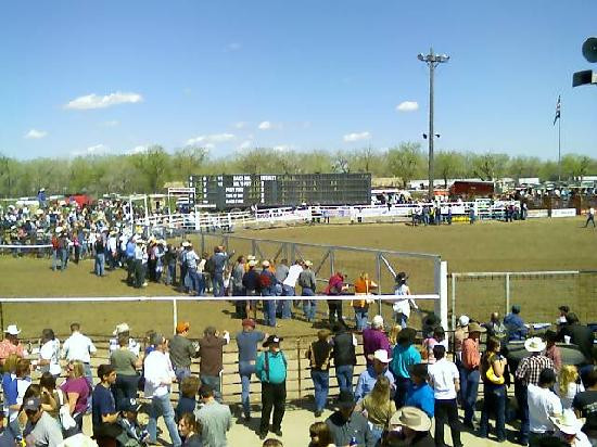 Montana ExpoPark-大瀑布市必去景点