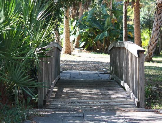 University of South Florida Botanical Gardens, Tampa-坦帕必去景点