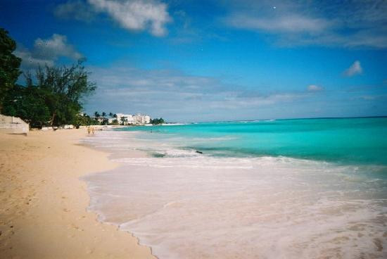 Worthing Beach-基督城必去景点