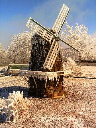 Queen Wilhelmina State Park景点图片