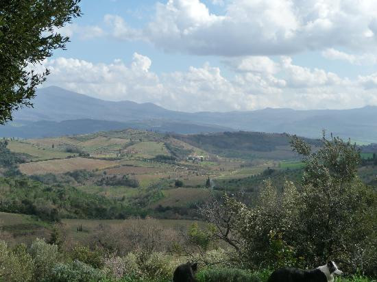 托斯卡纳葡萄酒之旅-锡耶纳必去景点