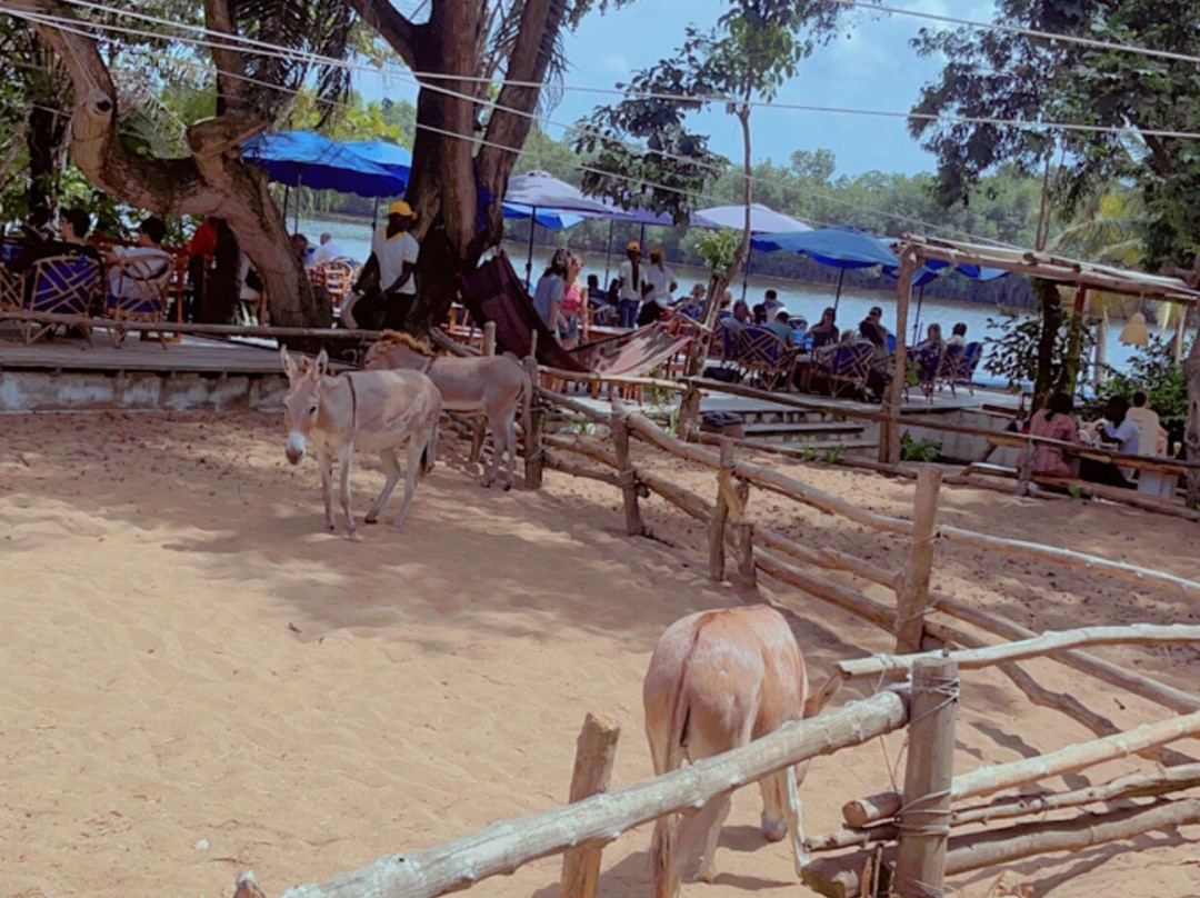 Bab's Dock-科多努必去景点