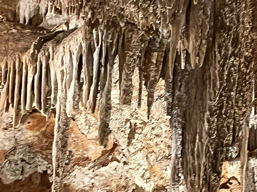 Carey's Cave, Gem of Wee Jasper-Wee Jasper必去景点