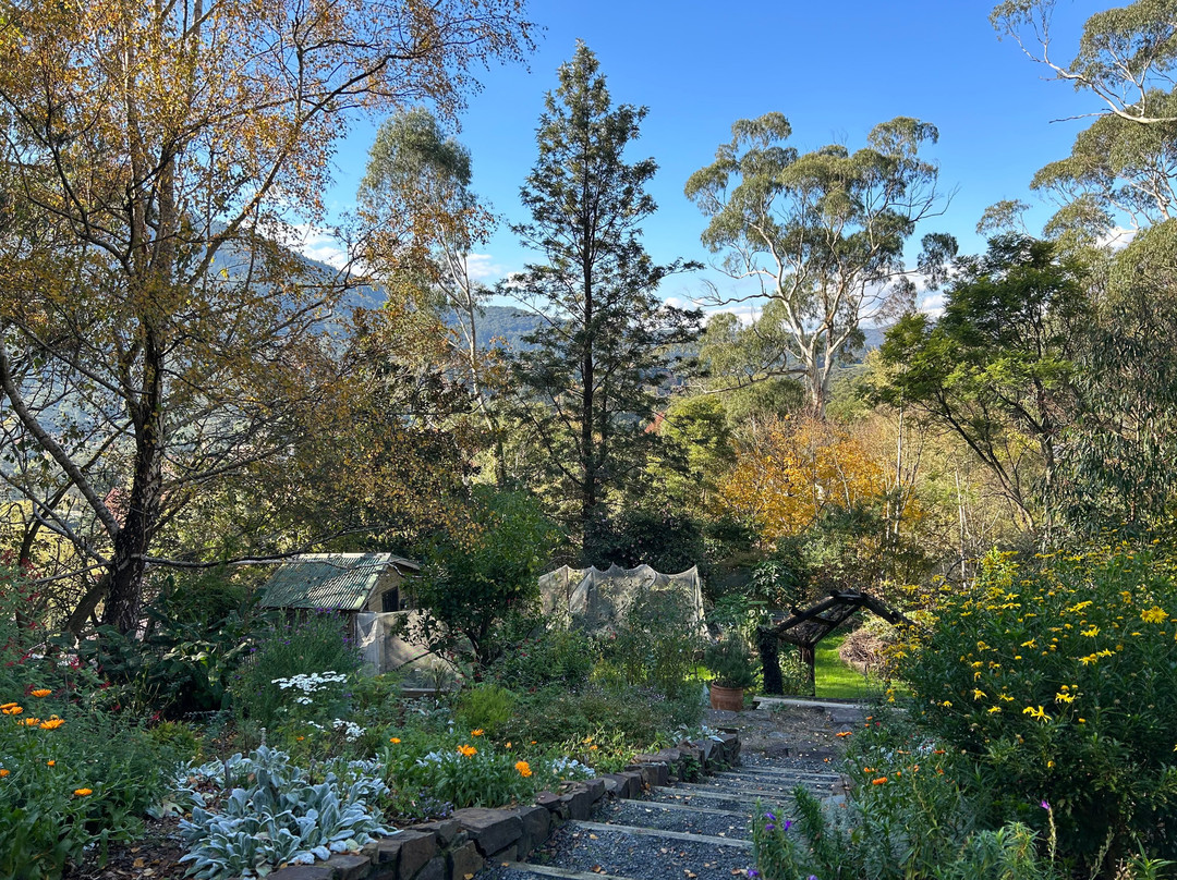 Buttercup Hill主图