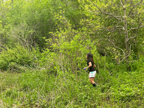 Izaak Walton Wetlands-罗切斯特必去景点