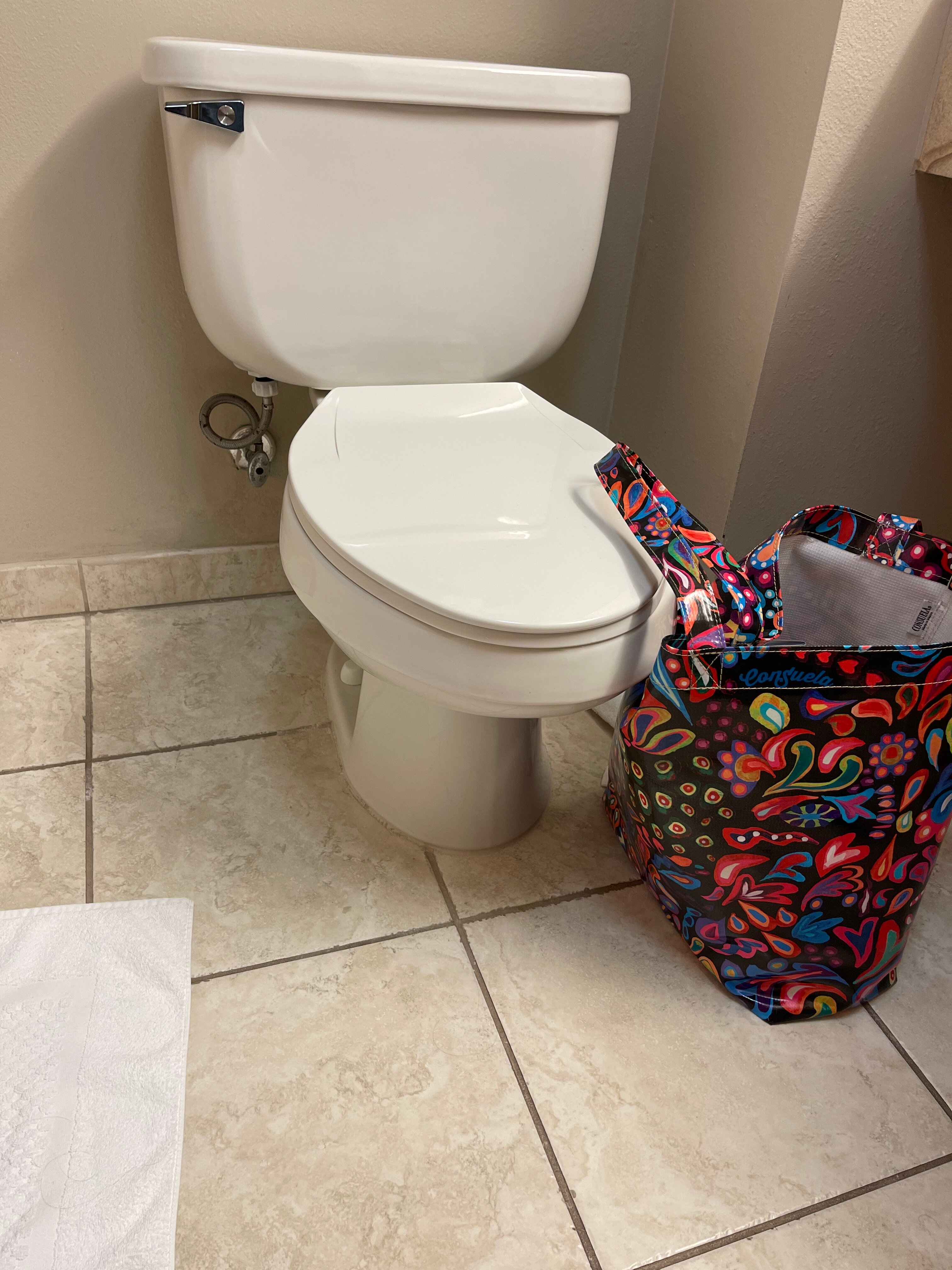 Hampton Inn & Suites Valdosta/conference Center-浴室