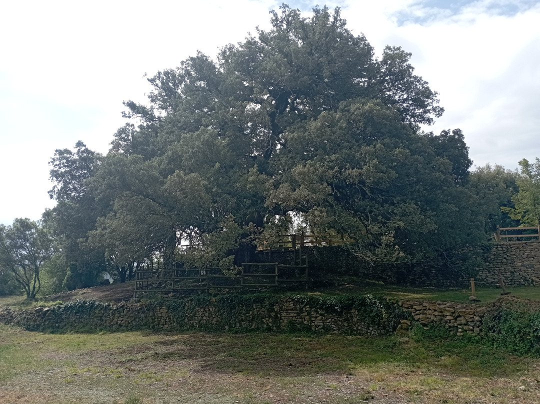 Hotel Tierra Buxo主图