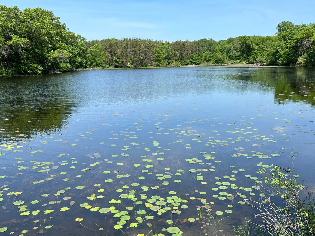 Lebanon Hills Regional Park景点图片