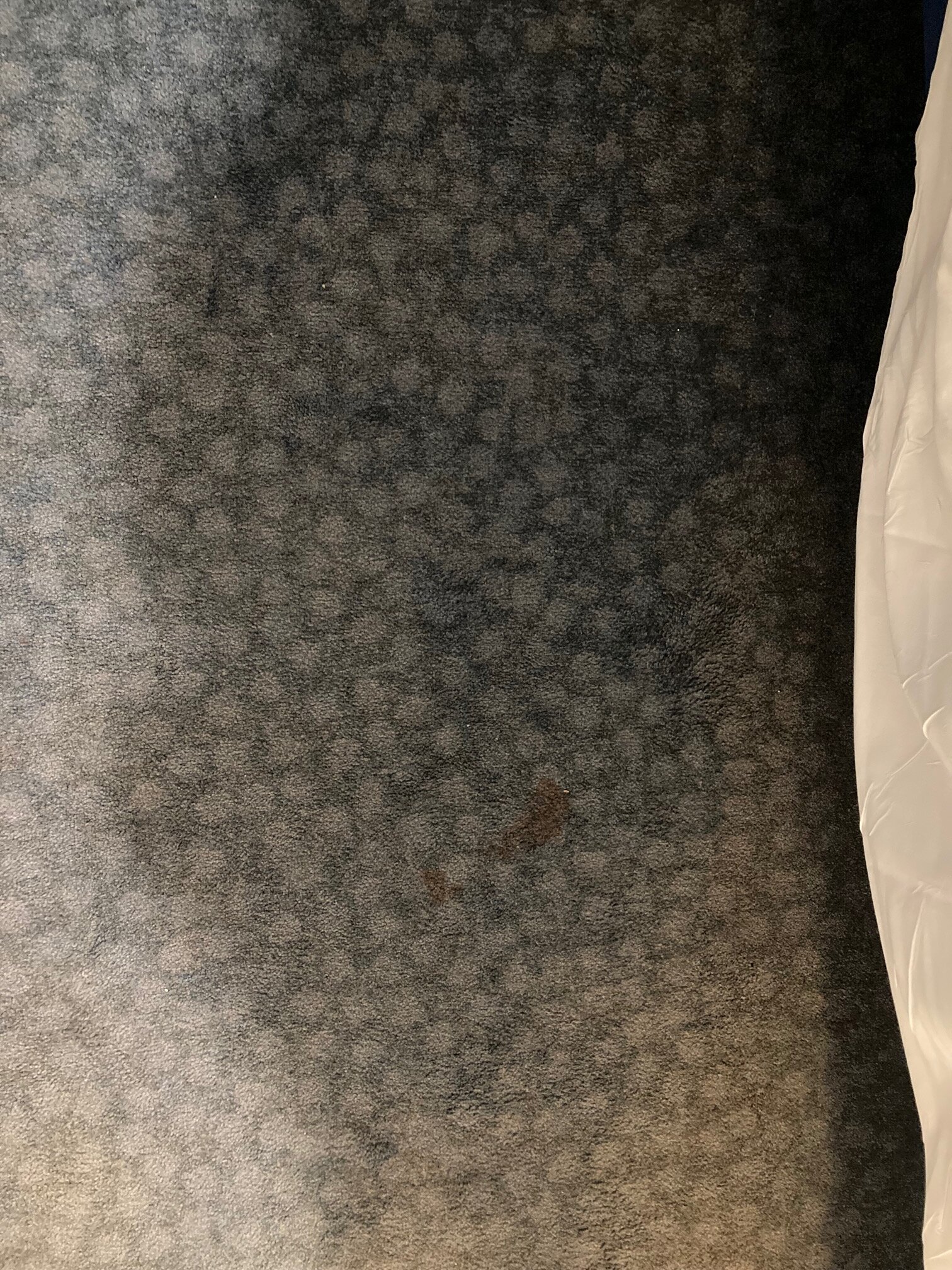Travelodge Southport Hotel-客卧