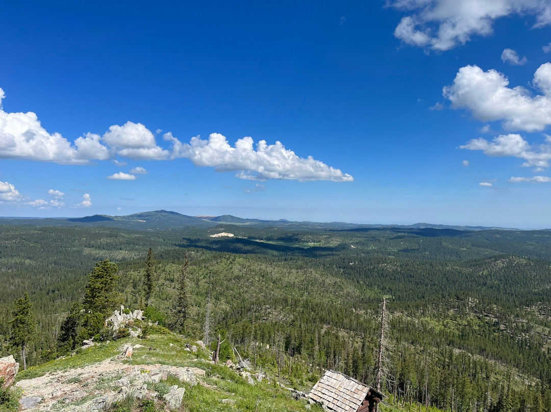 Black Hills Off-Road Rentals-戴德伍德必去景点