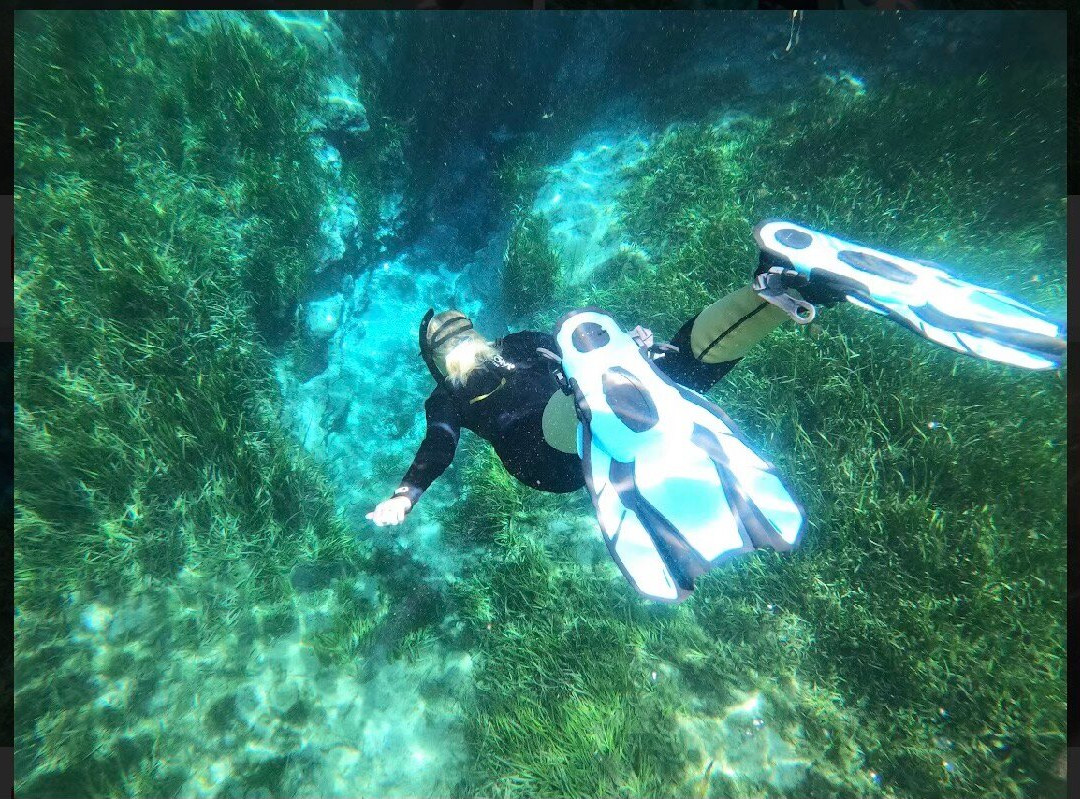 Waterfront Adventures; Swimming With The Manatees-克里斯特尔里弗必去景点