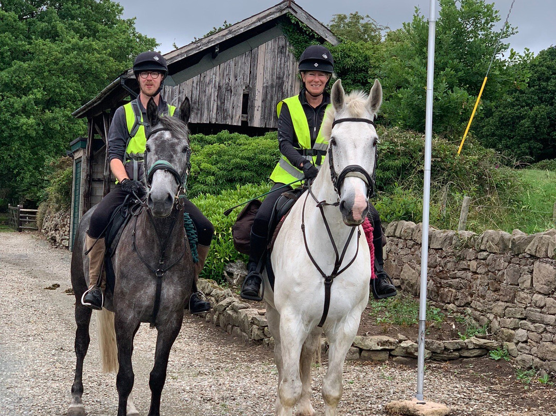 Stonehouse Farm B&B主图