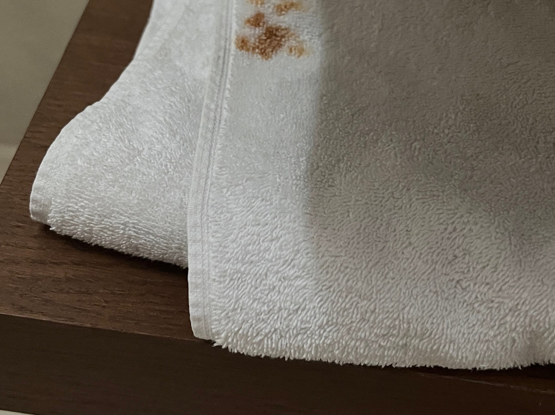 圣乔治酒店主图