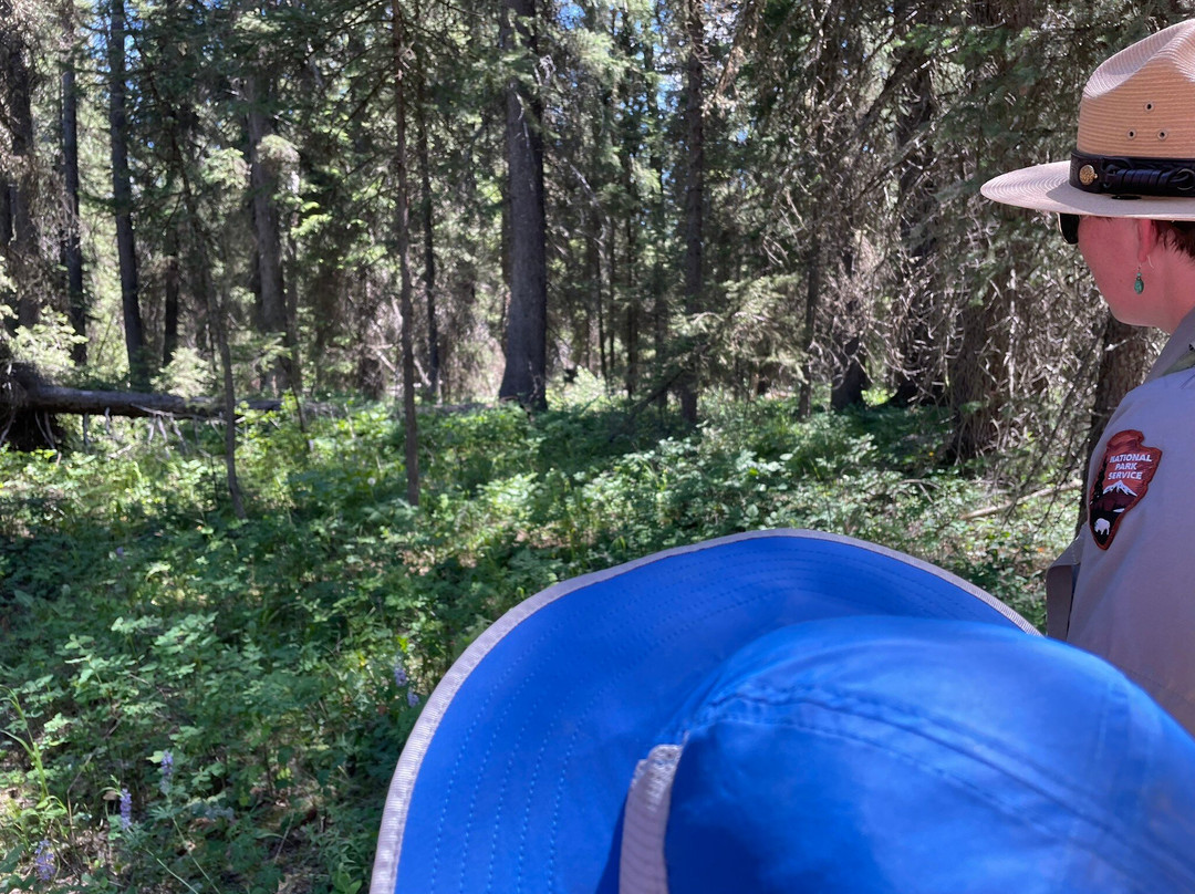 Craig Thomas Discovery & Visitor Center in Moose-大提顿国家公园必去景点