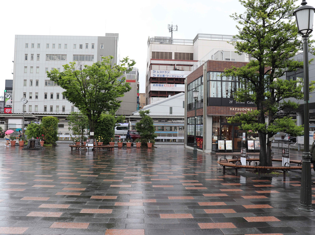 Kofu City History Park景点图片