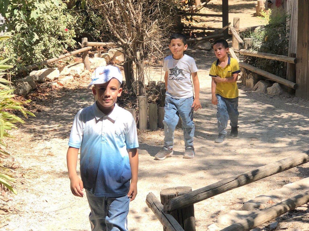 Ramat Gan National Park-拉马干必去景点