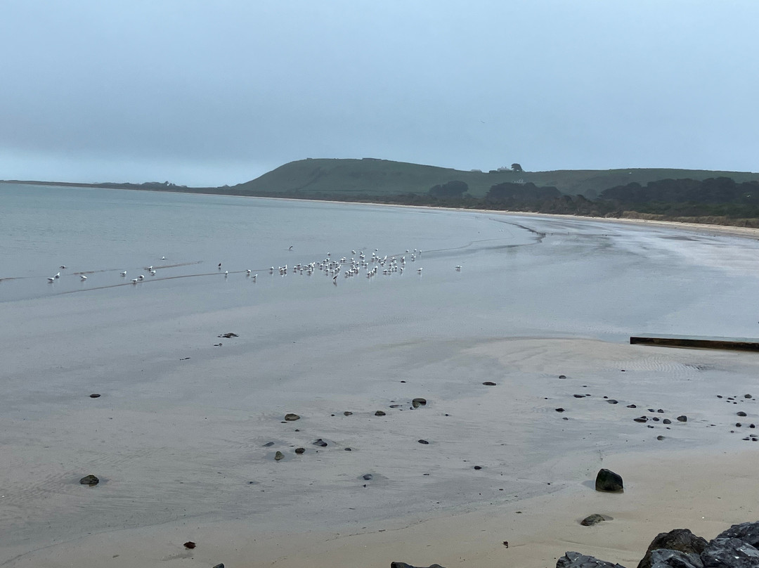 Tatlows Beach-斯坦利必去景点