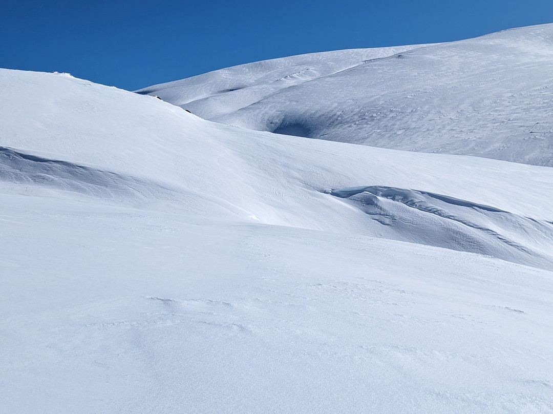 Stillwell Hotel主图