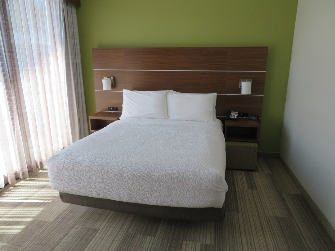 Holiday Inn Express & Suites Santa Ana - Orange County By IHG主图