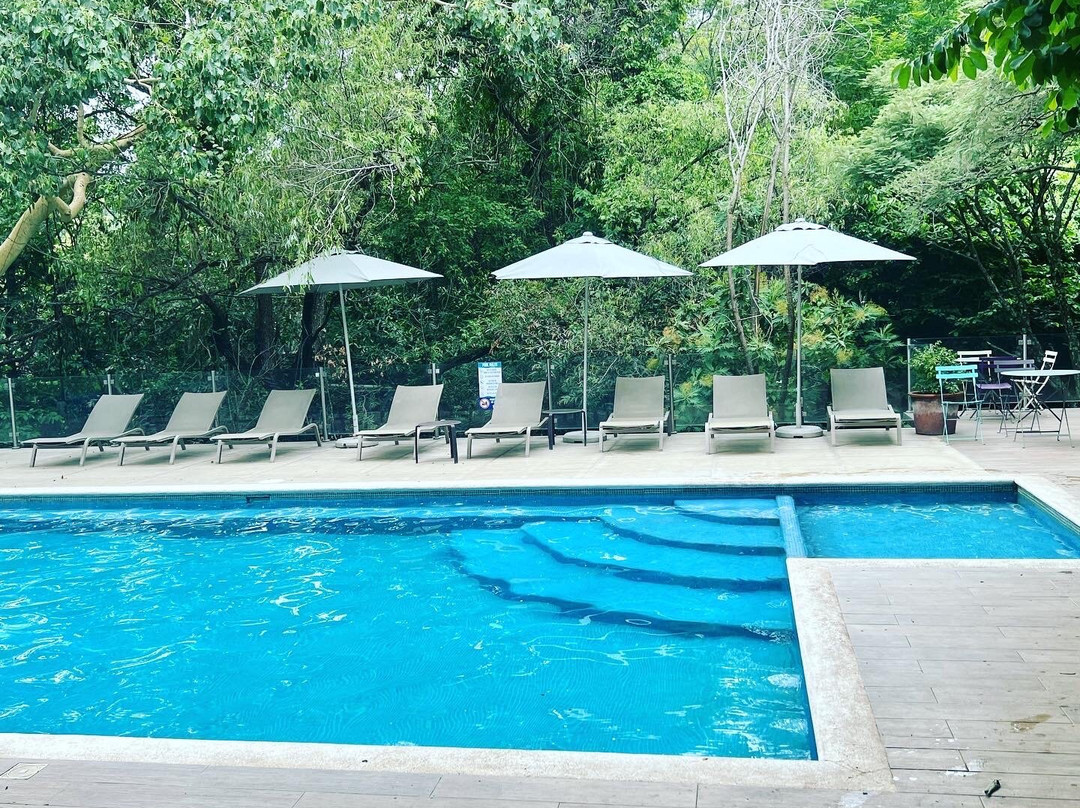 Collection O Amate del Rio主图