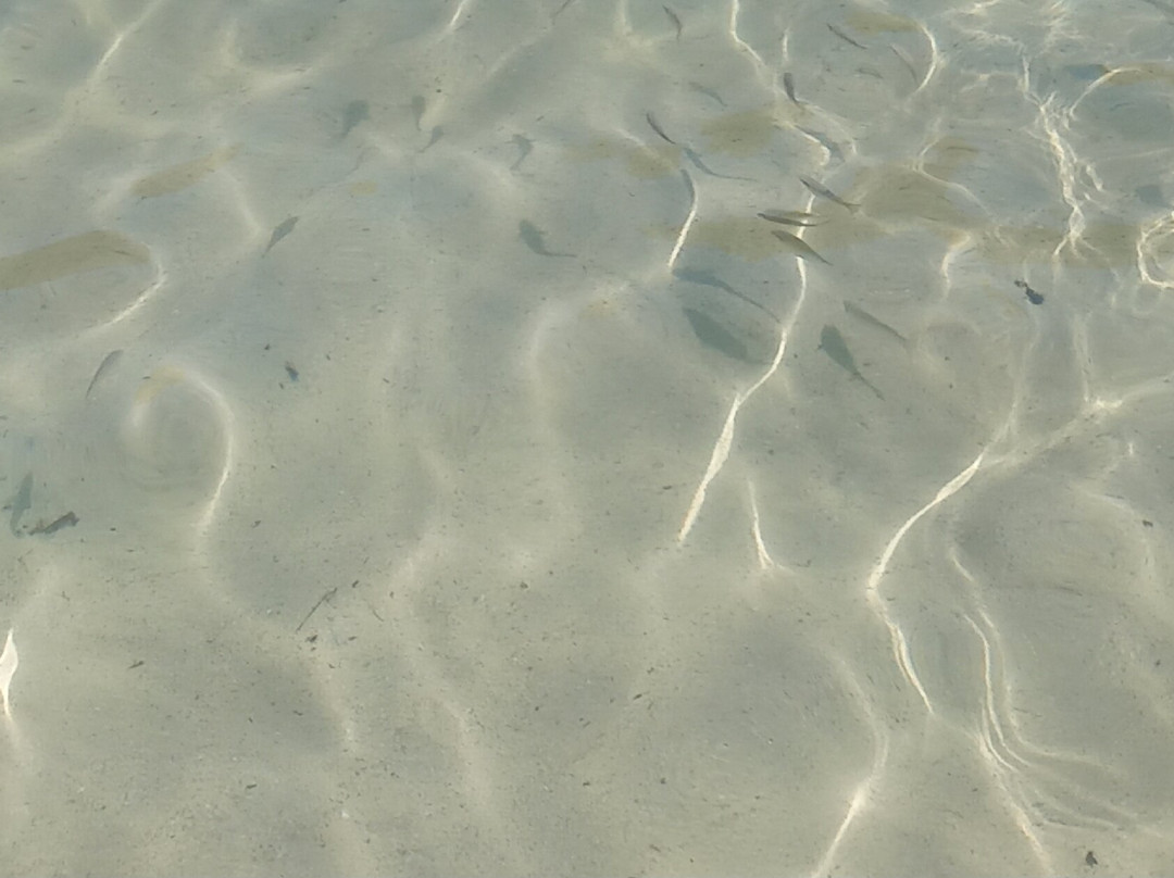 Cala'n' blanes beach-Cala'n Blanes必去景点