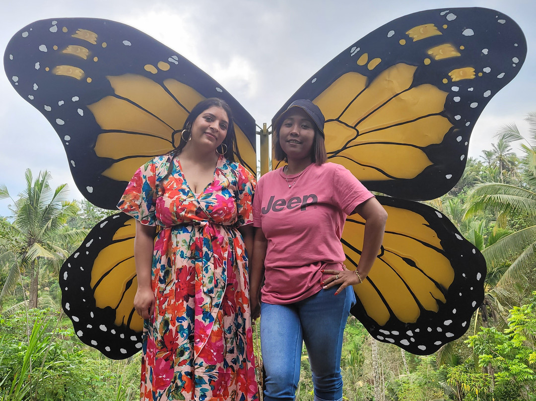 Bali Hopper Tour-登巴萨必去景点