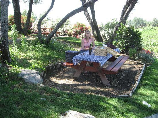 Gold Hill Vineyard-普莱瑟维尔必去景点